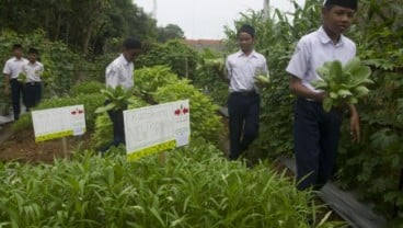 Kadin: Jangan Bergantung Impor, Perkuat Industri Perbenihan Hortikultura