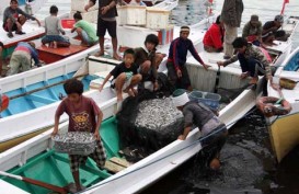 Revisi UU 27/2007 Dianggap Berdampak Buruk bagi Nelayan