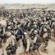 Konflik Irak, Pasukan Pemerintah Segera Kuasai Fallujah