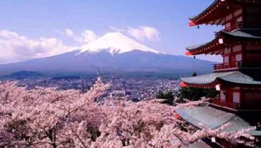 Jepang Genjot Ekspor Sake, Petani Bergairah Tanam Beras Nihonbare