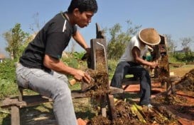 Industri Pengolah Tembakau Golongan III di Jateng Susut Drastis