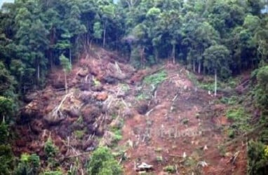 Polemik Hutan Lindung Tekan Kinerja Ekonomi Kepri Kuartal III/2013