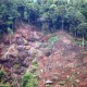 Polemik Hutan Lindung Tekan Kinerja Ekonomi Kepri Kuartal III/2013