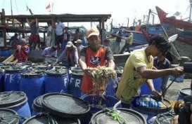 13 Kapal Ikan Diberikan Kepada Nelayan di NTT