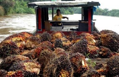 Belitung Timur Punya Pembangkit Listrik Biogas