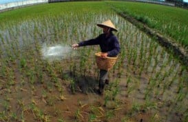 Stok Pupuk Subsidi Terbatas, Petani Diminta Kembangkan Pupuk Organik