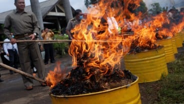 Palu Musnahkan 1.050 Benih Hortikultura, Bawa Penyakit Bahaya