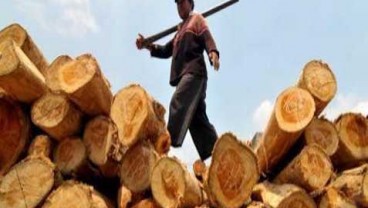 Hatta Rajasa: Industri Kayu Hutan Tanaman Siap Hadapi MEA 2015