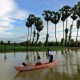 Terendam Banjir, Sawah 19.000 Ha di Subang Berpotensi Rusak