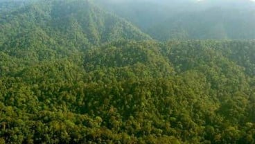 Sumatra Barat Targetkan 500.000 Ha Hutan Nagari