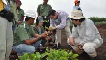 APRIL Tingkatkan Pengelolaan Hutan Lestari