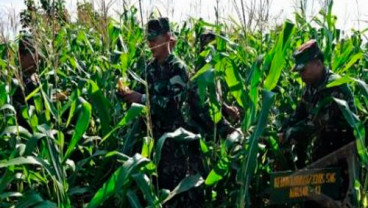 Kementan Gandeng TNI AD Kembangkan Ketahanan Pangan