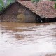 Dampak Banjir, 60.000 Ha Sawah di Indramayu Rusak Parah