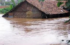 Dampak Banjir, 60.000 Ha Sawah di Indramayu Rusak Parah