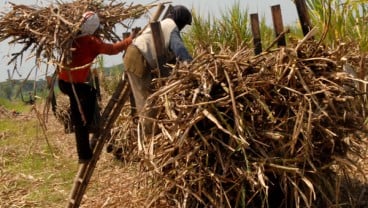 Mendorong Industri Hilir Berbasis Produk Pertanian