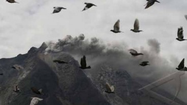 BI Berikan Bantuan Pemberdayaan Pengungsi Sinabung