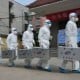 China Kembangkan Vaksin H7N9, Virus Flu Burung Jenis Baru Menyerang