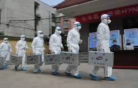 China Kembangkan Vaksin H7N9, Virus Flu Burung Jenis Baru Menyerang