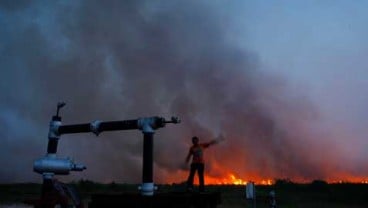 Pemkota Pontianak Janji Cabut Izin Perusahaan Pembakar Hutan