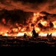 Lahan 2.900 Hektare di Kepulauan Meranti Terbakar