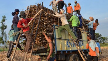 Dana PKBL, PTPN XI Jamin Kredit Petani