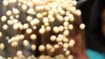Harga Kedelai ke US$1.325/Bushel