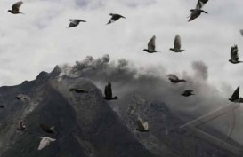 Erupsi Gunung Sinabung: Korban Tewas Jadi 17 Orang