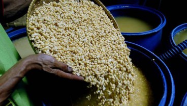 Harga Kedelai Terjerembab, China Batalkan Pembelian ke AS