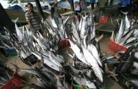 Jabar Targetkan Produksi Ikan 1,08 Ton