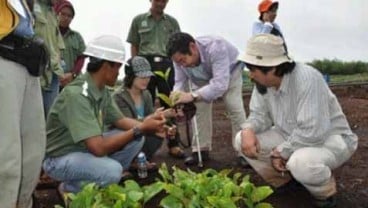 Ekohidro Efektif Cegah Kebakaran Lahan Gambut di Riau