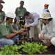 Ekohidro Efektif Cegah Kebakaran Lahan Gambut di Riau