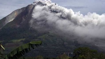 Gunung Kelud Meletus: Sayuran di Kawasan Merapi Tertutup Abu Vulkanik