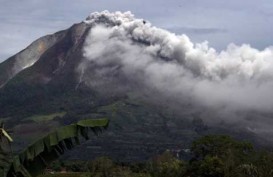 Gunung Kelud Meletus: Sayuran di Kawasan Merapi Tertutup Abu Vulkanik