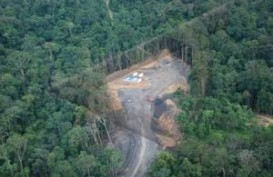 Petunjuk Teknis Pinjam Pakai Kawasan Hutan Lindung Diterbitkan