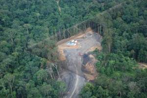Petunjuk Teknis Pinjam Pakai Kawasan Hutan Lindung Diterbitkan