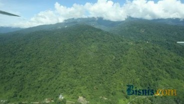 Izin Pinjam Pakai Hutan di Tabalong Terkendala Kuota