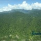 Izin Pinjam Pakai Hutan di Tabalong Terkendala Kuota