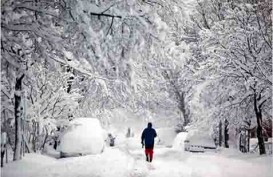 Badai Salju Lumpuhkan Jepang