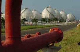 Pengembangan Biogas Terkendala Teknologi Dan Koordinasi