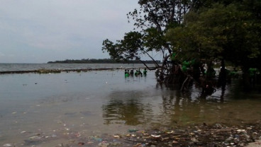 Hari Peduli Sampah 2014, Kantor Wali Kota Tri Rismaharini Dijadikan Lokasi Acara