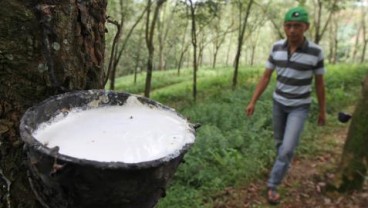 Mutu Karet Petani Sumsel Rendah, Biaya Produksi Bengkak