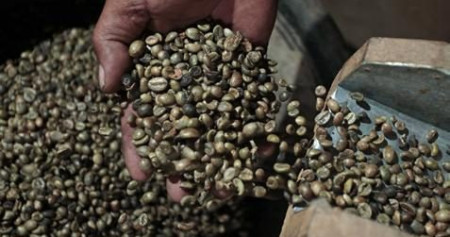 /Bijih Kopi