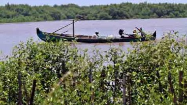 Balikpapan Tuan Rumah Pertemuan Konservasi Hutan Bakau Asean