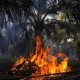 Kebakaran Lahan: 40 Orang Ini Berjibaku “Usir” Api Jauhi Bangunan