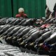 Kawasaki Juara Impor Sepeda Motor CBU