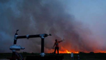 Kebakaran Hutan Riau Diusulkan Jadi KLB