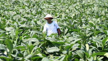 Asosiasi Industri Tembakau Tetap Tolak Aksesi FCTC