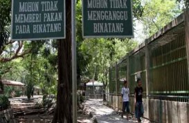 Jaya Ancol Berencana Revitalisasi Kebun Binatang Solo