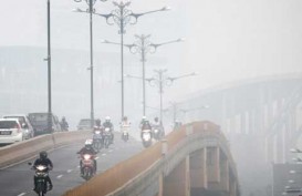 Kabut Asap Riau, Penderita ISPA Capai 30.249 Orang