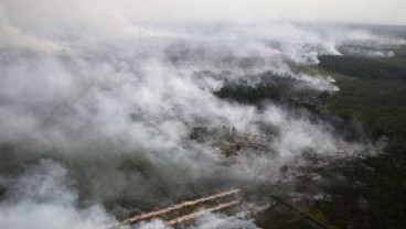 Kebakaran Riau: Walhi Tuding 89 Perusahaan HTI dan Kelapa Sawit